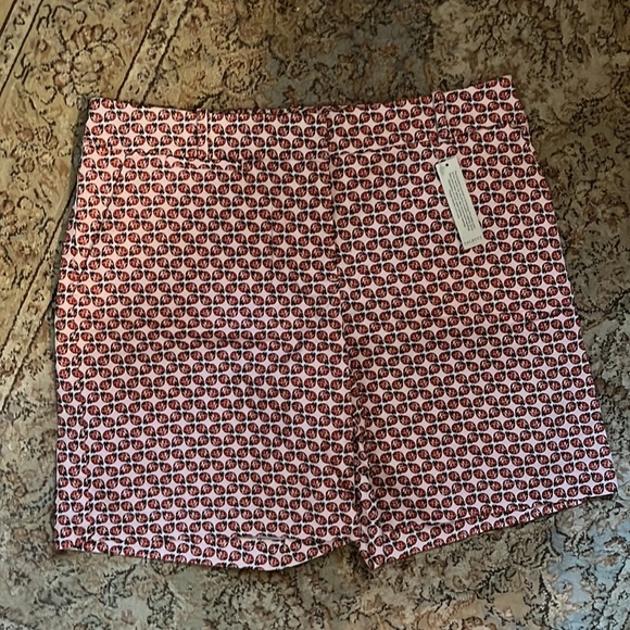 TALBOTS Size 10 Lady Bugs Cotton Spandex FlatFront 5-pk Preppy Golf  $69 NEW - Picture 12 of 14